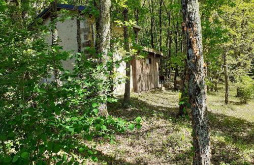 Le gîte de la cabane de l'oiseau - Foto 10