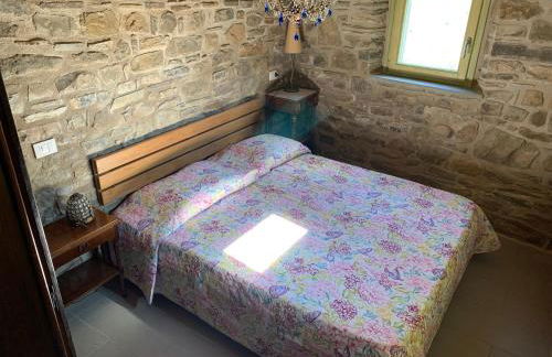 Magic Mola - Foto 15