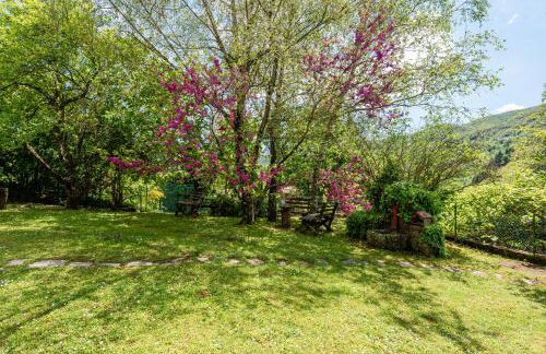 Villa Lolli - Foto 28