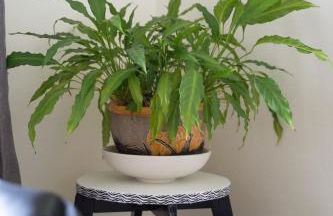 L'appartement à Cardaillac - Foto 10