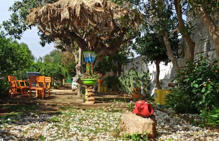 Zagara di Sicilia - Foto 134