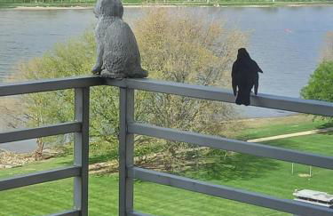 Rheinapartment 8 - Foto 9