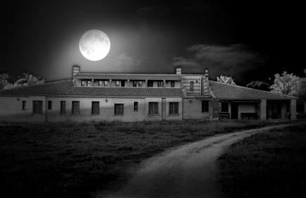 La Quinta de Melque - Foto 1