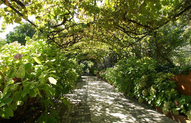 Casa dos Arrábidos - Foto 60