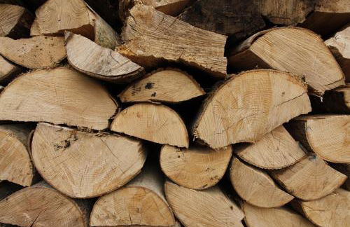 Rod and Line - Photo 6