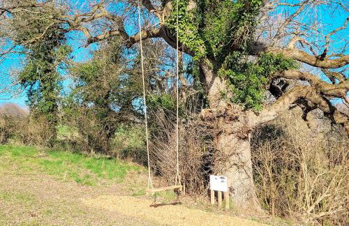 Lakeview Lodge- Uk40692 - Foto 20