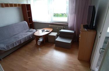 Lokal na Złotym - Foto 15