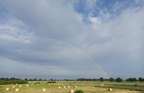 Żuławska Osada - Foto 43