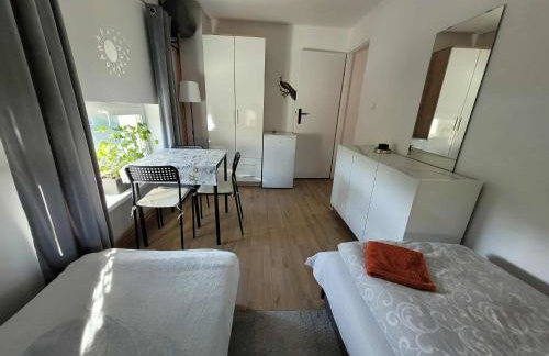 Agroturystyka Błądkowo 20A, Dom 11 miejsc - Foto 43