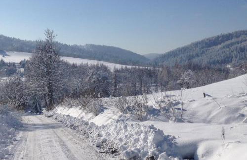 Domki pod Kiczerą w Baligrodzie, Bieszczady - Foto 38