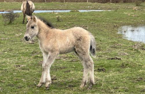 Ferienwohnung Hafenblick Ferienhof Geltinger Bucht - Foto 27