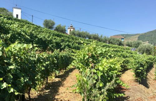 casa das ameias - Foto 28