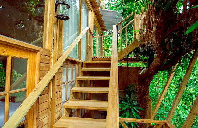 Reggae Legends Estate - Foto 46