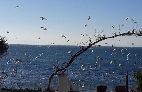 Aqua Blue villa - Foto 22