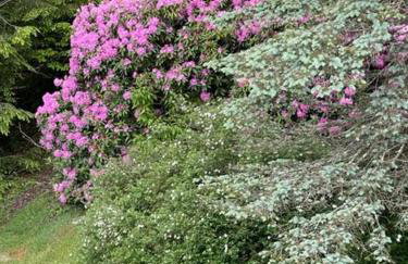 Eagles Nest on Seven Devils - Foto 47