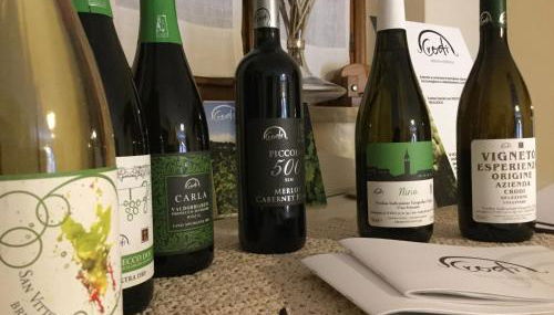 Agriturismo Crodi - Foto 5