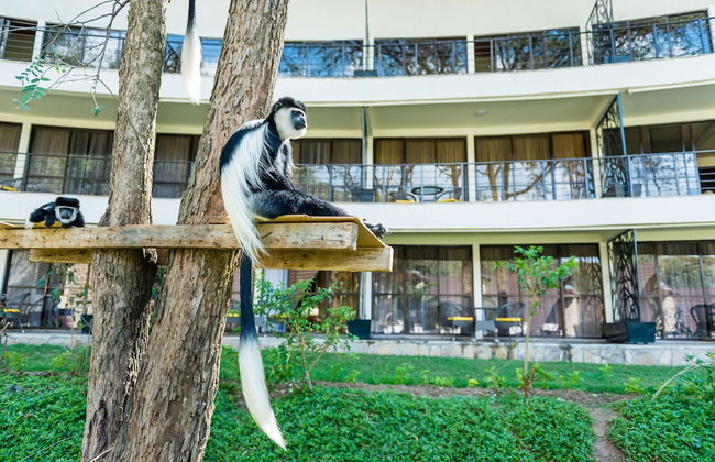 OSOTUA LUXURY RESORT - Foto 19