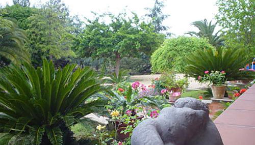 B&B Villa Giuliana - Foto 2, Garden