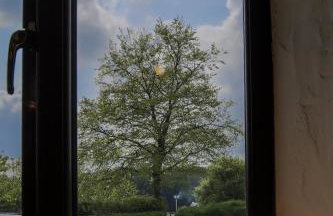 West Hollowcombe Farm - Foto 42