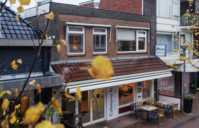 3 bedroom Apartment in Delfzijl with garden and terrace - Photo 25