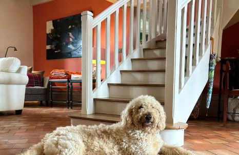 Domaine de la Serve - Foto 29