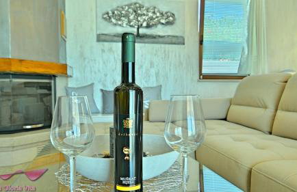 Modern villa Gloria Vita with pool in Novigrad - Foto 21