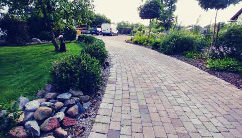 Dąbrowski - Photo 4