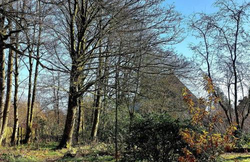 The Coach House- Canonbie - Foto 42