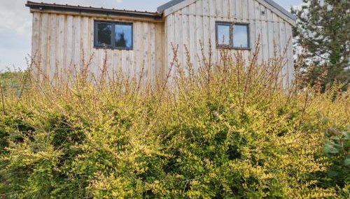 Atlantic Apartment - Foto 2