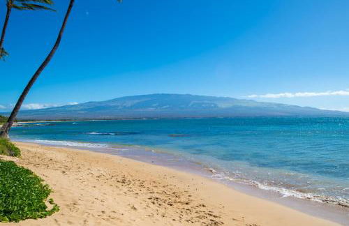 Hono Kai A16 - Foto 17