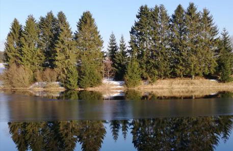 Haus Brockenblick - Foto 13