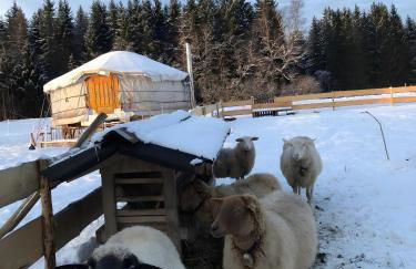 Das Falken Nest - Foto 10