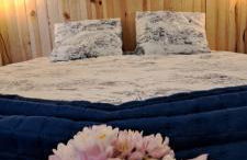 Monte do Rochinha - Foto 55