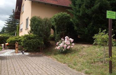 Pension "Am Zuckerberg" - Photo 4