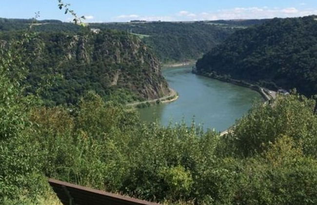 Elisabeth on the Loreley - Photo 20