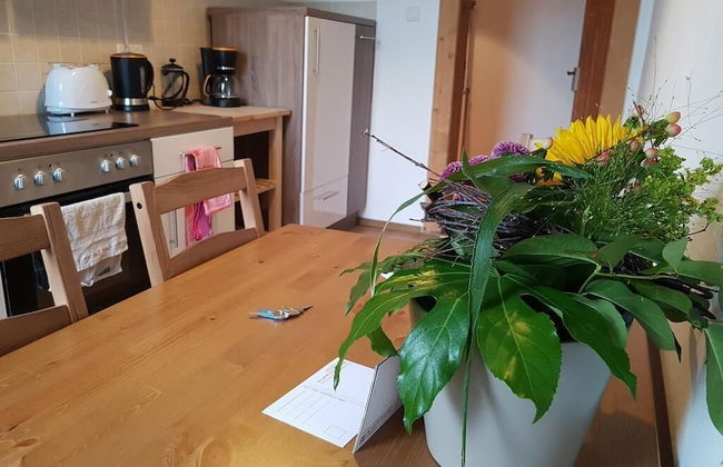 Dresdner-Tag Melissa - Foto 9