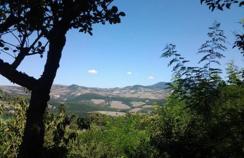 La Casa di Cesarina - Foto 36