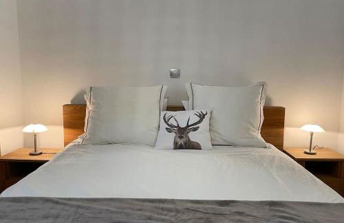 La Perle des Alpes C10 Apart.4* #Yolo Alp Home - Foto 12