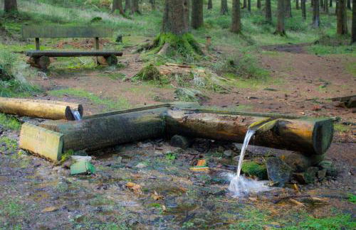 Erzgebirgsidyll Breitenbrunn Ferienwohnung - Foto 53