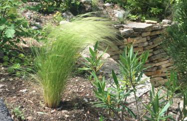 Villa de Carbonelle - Foto 16