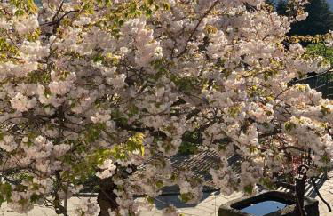 Landhaus Lehhof - Foto 50