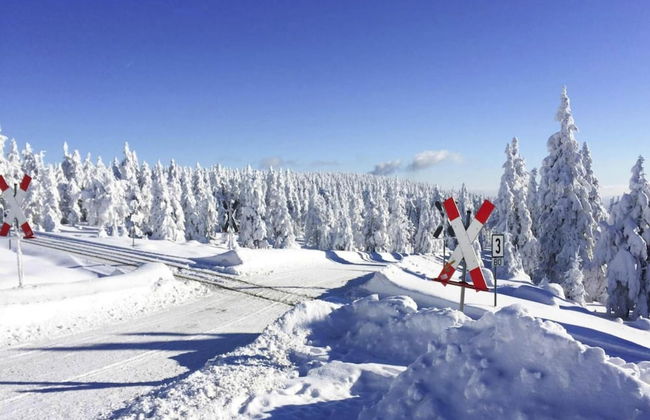 Chalet in Harz With Sauna & Brocken Views - Foto 26