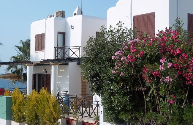 Levent Sugar 3 bedroom villa No 100 - Foto 13