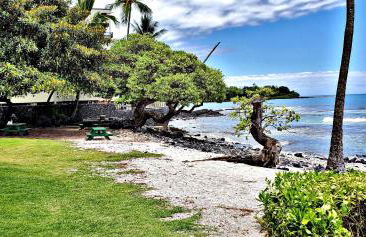 Ali'i Banyan Breeze - Photo 33