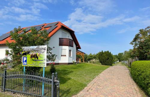 Am Gallowayhof - Foto 15