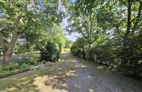 Ferienhäuschen blauer See - Foto 16