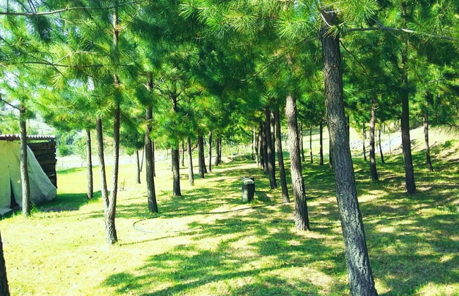 Rancho San Miguel - Foto 10