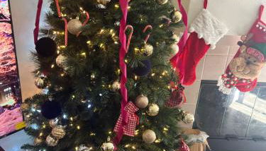 Private stay SD - Foto 4