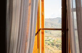 Castello Vicchiomaggio - Foto 150