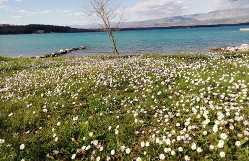 Apartment Sun & Sea - Foto 63